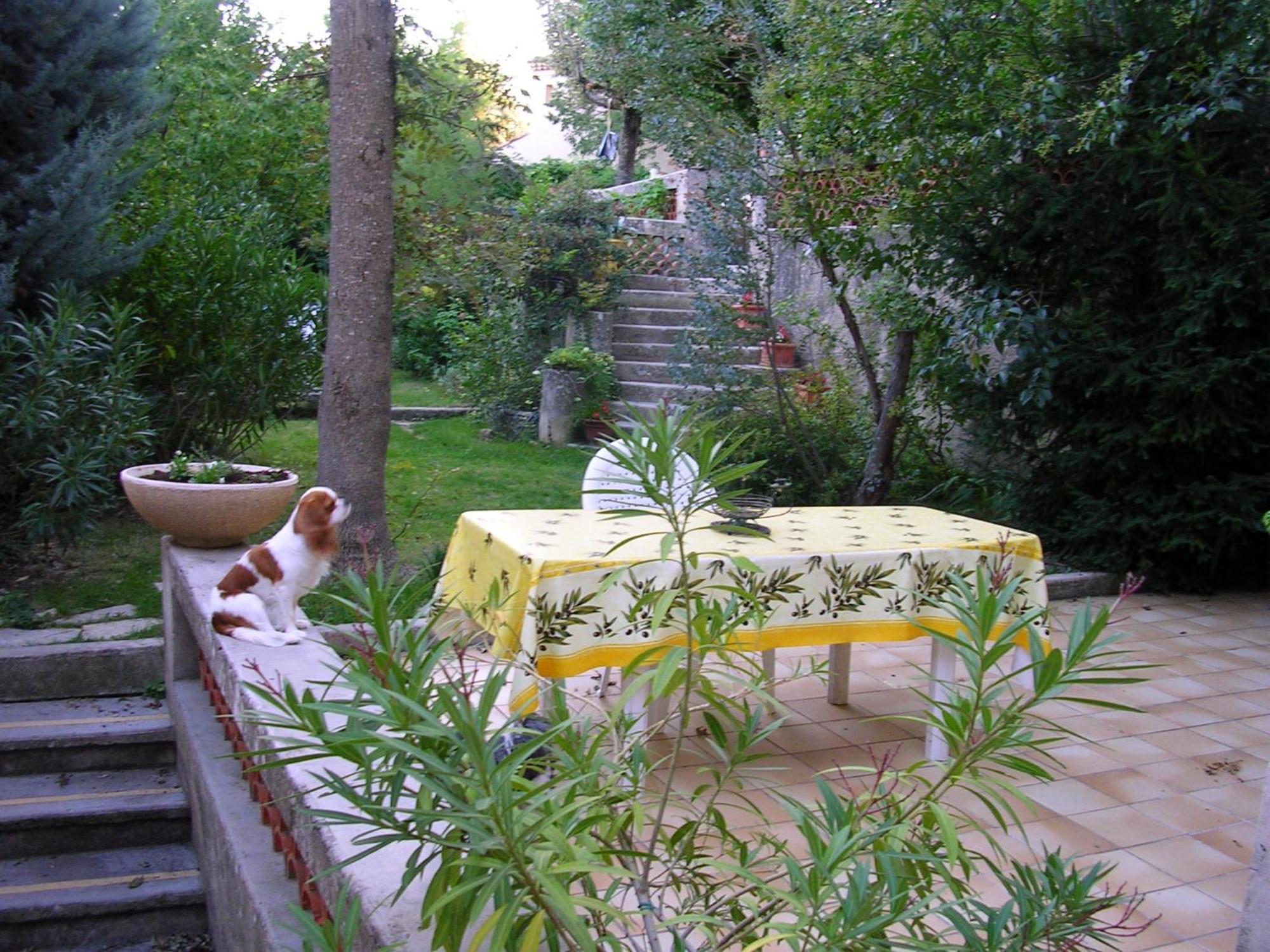 Le Jardin Apartment Greoux-les-Bains Bagian luar foto